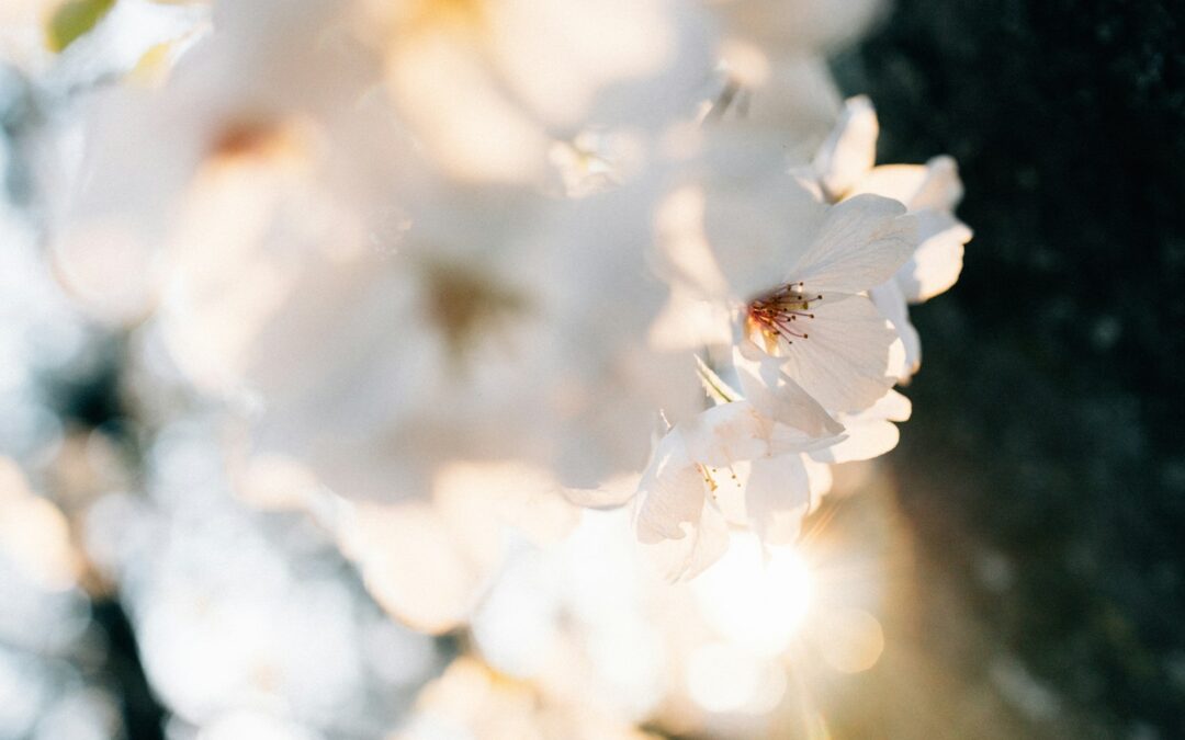 Test d’un premier article